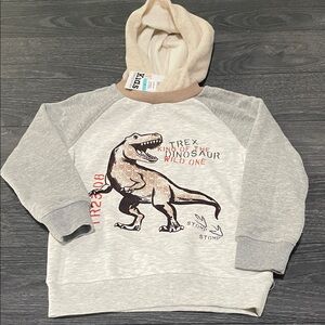 Kids Headquarters T-Rex Hoodie - Gray & Cream